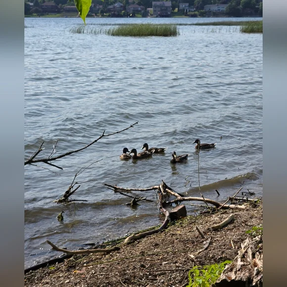 KINGSTON TRIP - Picture 4 of 14